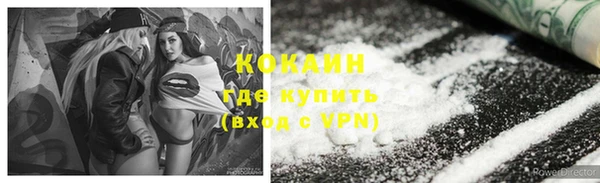 стаф Алзамай