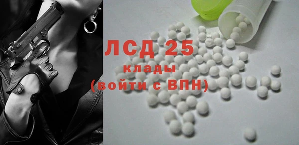 стаф Алзамай