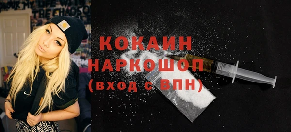 крисы Абаза