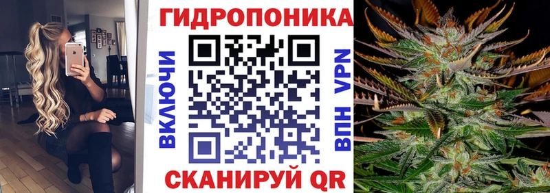 Конопля Amnesia Красноармейск